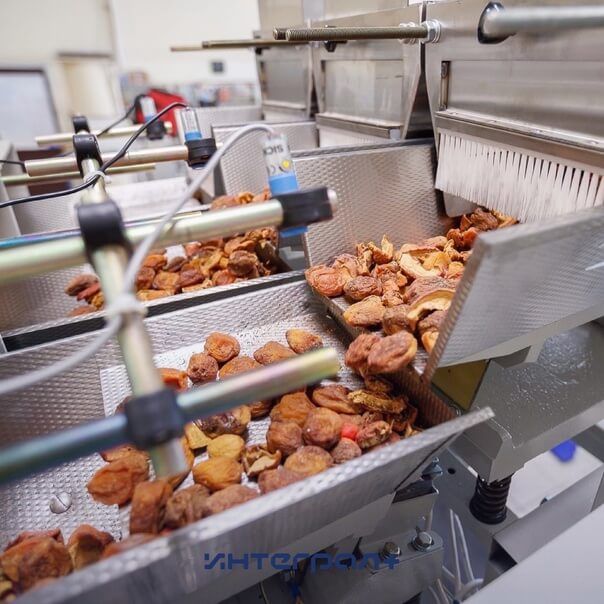 Fmu_2W43_DI.jpg Упаковочный автомат сухофруктов фото