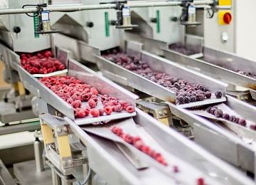 Оборудование для фасовки и упаковки замороженных продуктов Оборудование для фасовки и упаковки замороженных продуктов