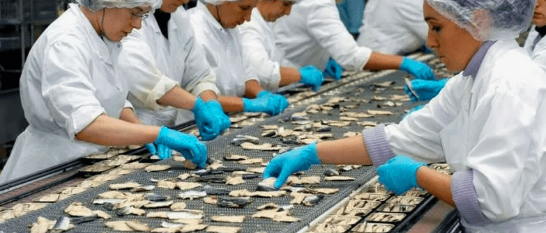 Процесс фасовки рыбных снеков Упаковка рыбных снеков фото 10